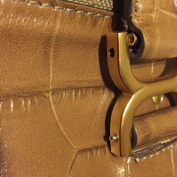 Chloe - Picture 8 of 8